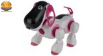 ربات مدل Smart Dog 2089A | پخش کالای مرکزی
