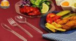 چنگال یکبار مصرف الین پلاست مدل LDR-CH50 بسته 50 عددی | پخش کالای مرکزی