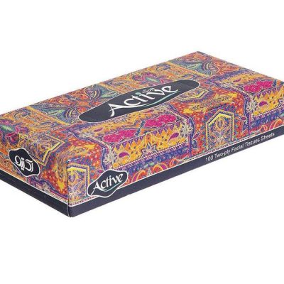 دستمال کاغذی 100 برگ اکتیو مدل Eslimi بسته 10 عددی | پخش کالای مرکزی