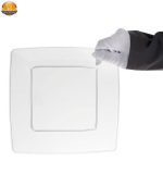 بشقاب یکبار مصرف کوشا مدل Lux 0454 بسته 6 عددی - Image 4