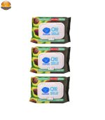 دستمال مرطوب دافی مدل Anti bacterial GN10 بسته 12 عددی - Image 10
