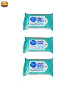 دستمال مرطوب دافی مدل Anti bacterial GN10 بسته 12 عددی - Image 16