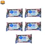 دستمال مرطوب دافی مدل Anti bacterial GN10 بسته 12 عددی - Image 17