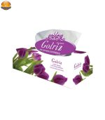 دستمال کاغذی 150 برگ گلریز مدل رژا بسته 5 عددی | فروشگاه اینترنتی پخش کالای مرکزی