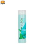 شامپو مو بانوان موهاي چرب شون مدل Green Tea & Mint حجم 400 میلی لیتر