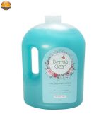 مایع دستشویی درماکلین مدل Magnolia حجم 3750 میلی لیتر