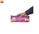 نوار بهداشتی گلریز مدل 03 بسته 2 عددی - Image 4