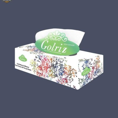 دستمال کاغذی 100 برگ گلریز مدل جوانه بسته 24 عددی | فروشگاه اینترنتی پخش کالای مرکزی