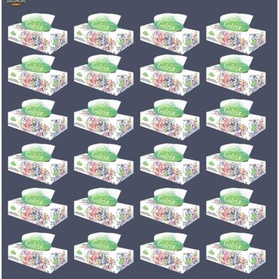 دستمال کاغذی 100 برگ گلریز مدل جوانه بسته 24 عددی | فروشگاه اینترنی پخش کالای مرکزی