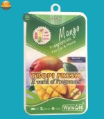 خوشبو کننده خودرو لیتل باکس مدل MANGO | فروشگاه اینترنتی پخش کالای مرکزی