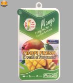 خوشبو کننده خودرو لیتل باکس مدل MANGO | فروشگاه اینترنتی پخش کالای مرکزی