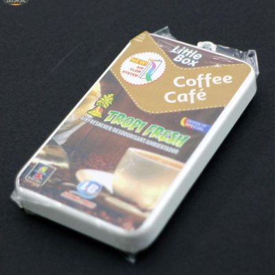 خوشبو کننده خودرو تروپی کد TF04 | فروشگاه اینترنتی پخش کالای مرکزی