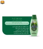شامپو مو شاوما مدل 7Herbs حجم 400 میلی لیتر | فروشگاه اینترنتی پخش کالای مرکزی