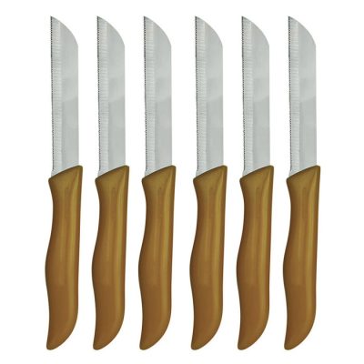 چاقو آشپزخانه مدل R34243 مجموعه 6 عددی | فروشگاه اینترنتی پخش کالای مرکزی