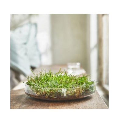 خوشبوکننده ایکیا مدل 205 بسته 2 عددی | فروشگاه اینترنتی پخش کالای مرکزی