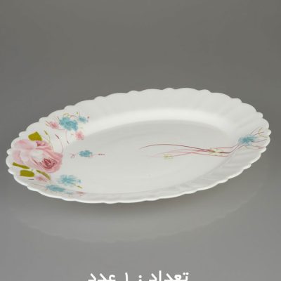 سرویس غذا خوری 25 پارچه آیروپال طرح کنگره مدل پیکو | فروشگاه اینترنتی پخش کالای مرکزی