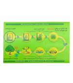 سفره یکبار مصرف کوالا مدل silk طرح سنگ رول 20 متری بسته 2 عددی | فروشگاه اینترنتی پخش کالای مرکزی
