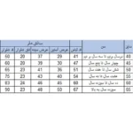 ست سویشرت و شلوار پسرانه بچه زنبور مدل 679.680-1Z|فروشگاه اینترنتی پخش کالای مرکزی