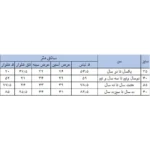 ست هودی و شلوار پسرانه بچه زنبور مدل B733|فروشگاه اینترنتی پخش کالای مرکزی