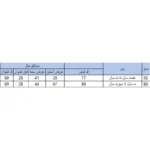 ست هودی و شلوار بچگانه بچه زنبور مدل G777| فروشگاه اینترنتی پخش کالای مرکزی