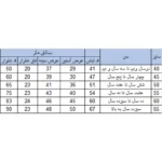 ست سویشرت و شلوار پسرانه بچه زنبور مدل 679.680-1R / خرید آنلاین از فروشگاه اینترنتی پخش کالای مرکزی