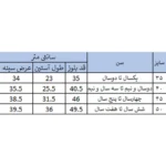 سویشرت پسرانه بچه زنبور مدل D967-8| فروشگاه اینترنتی پخش کالای مرکزی