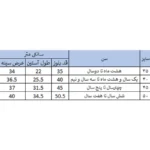سویشرت پسرانه بچه زنبور مدل M963-4| فروشگاه اینترنتی پخش کالای مرکزی