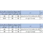 ست تی شرت و شلوارک پسرانه بچه زنبور مدل G902-3|فروشگاه اینترنتی پخش کالای مرکزی