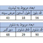 ست تیشرت آستین کوتاه و شلوار راحتی زنانه سلین مدل 1142 رنگ سرمهای | فروشگاه آنلاین پخش کالای مرکزی