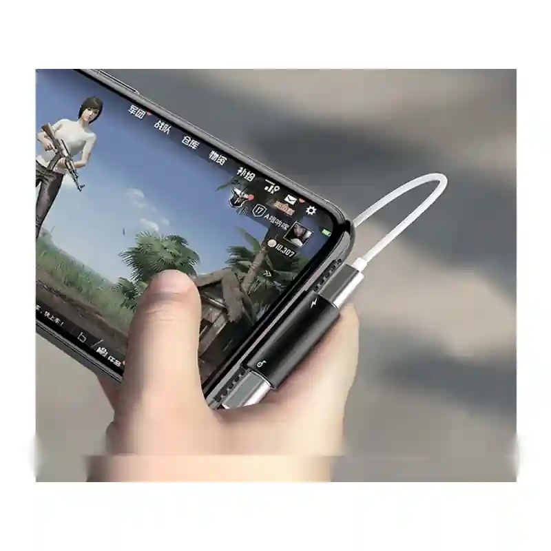 مبدل صدا لایتنینگ بیسوس