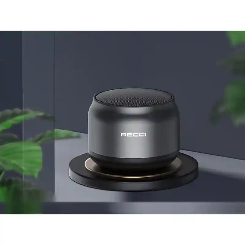 اسپیکر بلوتوثی رسی RSK-W13