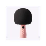 میکروفون اسپیکر جویروم Joyroom Microphone With Speaker JR-MC6