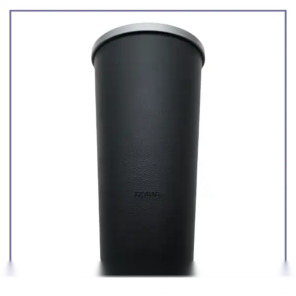 Zhuse ZS-CA-010