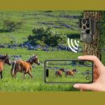 دوربین تله‌ای های‌کم Hiicam K228 Hunting Camera - تصویر 6
