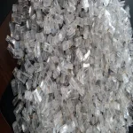 سوکت شبکه cat6 مدل PTC