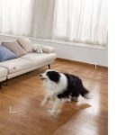 دوربین مداربسته یوفی Eufy Solo IndoorCam P44 network surveillance camera - تصویر 4