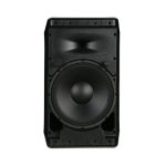 اسپیکر اکتیو وارفیدل Wharfedale proTyphon AX12BT speaker - تصویر 5